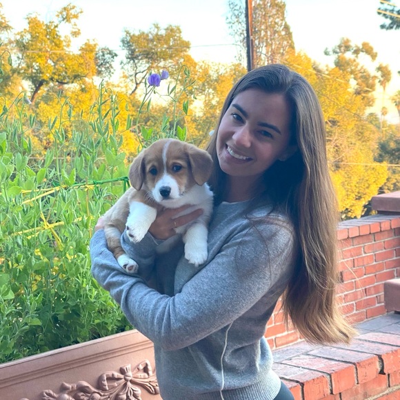 Meet your Posher, Sidney - Picture 2 of 2